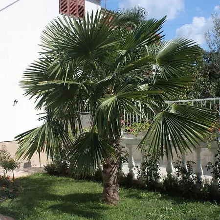 With Parking Space - 2995 * Vodice